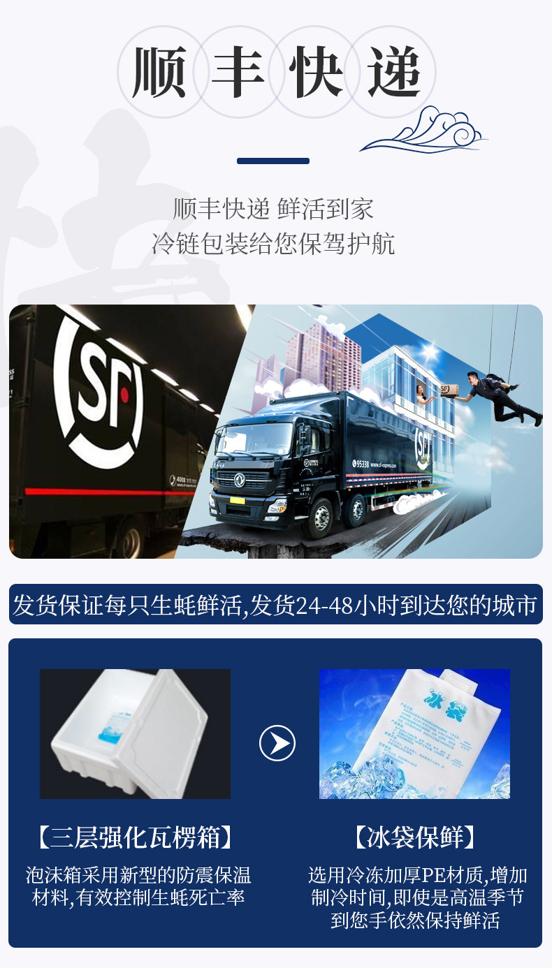 贝司令 乳山牡蛎 鲜活生蚝 5斤 90-120g 图6