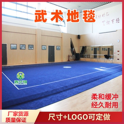 Martial Arts Carpet Dance Opera Art Gymnastics Mat Martial Arts Routine Competition Training Special Floor Mat Cheerleading Roll Mat