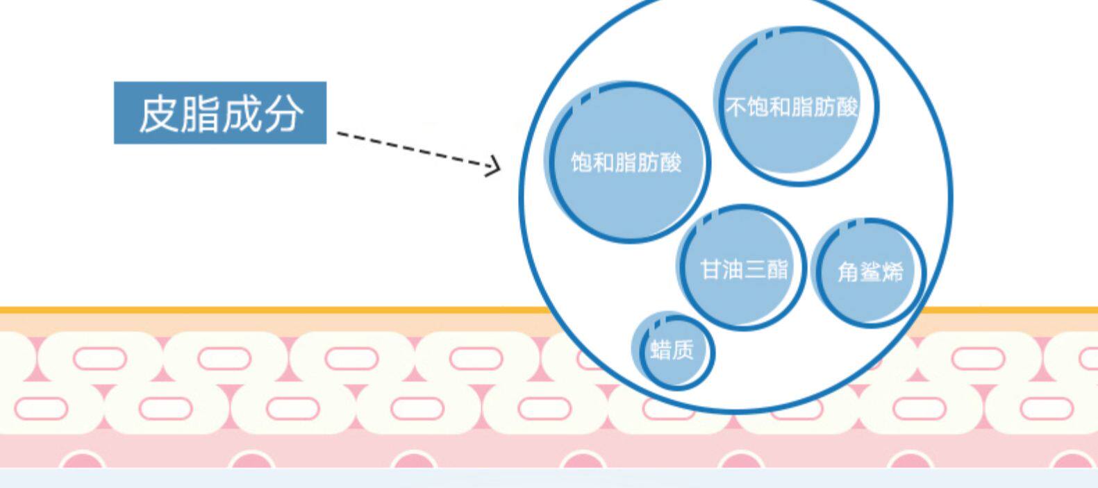 HABA I代油角鲨烷油美容油 15ml 图2