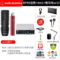 BP40 Микрофон+DM1+UR12