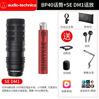 BP40 Микрофон+SE DM1