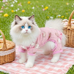 Summer Cat Clothes, Thin Four-Legged Clothing, Breathable, Sun-Protective, Anti-Shedding, British Shorthair, Ragdoll, Devon Kittens and Puppies Clothing