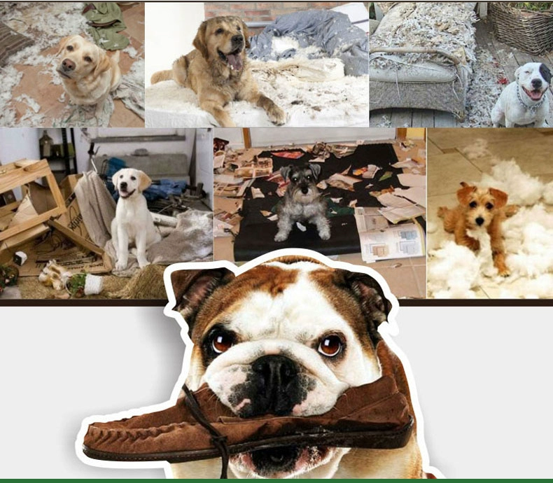 Chó răng hàm dính sạch răng xương Teddy Lông vàng Labrador vừa chó lớn nhai thú cưng - Đồ ăn vặt cho chó thức ăn cho thú cưng