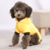 Quần áo chó mùa thu quần áo mùa đông Teddy chó con chó nhỏ hơn gấu kekibi gấu bốn chân quần áo thú cưng dày - Quần áo & phụ kiện thú cưng quần áo chó mèo Quần áo & phụ kiện thú cưng