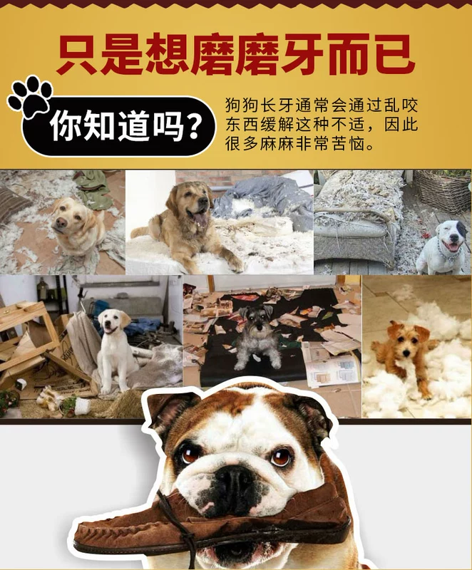 Yahe chó mol que sạch răng xương chó con taidijinmao chó con chó con cắn răng cắn vật nuôi đồ ăn nhẹ - Đồ ăn vặt cho chó