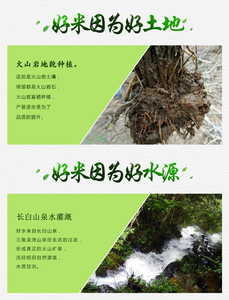 Selenium Germ Rice Noodles_10.jpg