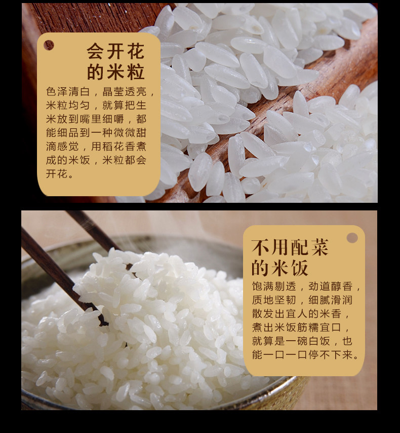 5KG_10.JPG