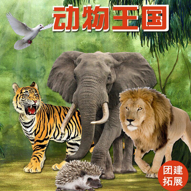 Animal Kingdom Expands Card Company Group Building Training Activities Team Outdoor Indoor Fun Game Props