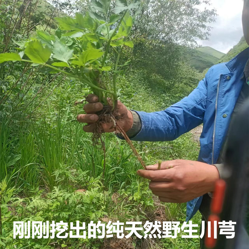 SF New Gansu Natural Pure Hanokawa 500 grams of Sulfur - free Sulfur - free can be milled with fine powder