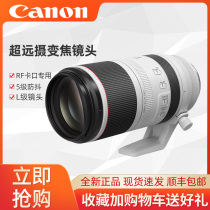 Canon RF100-500 F4 5-7 1 L IS USM Full Frame Dedicated Micro Telephoto Lens