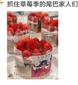 兹之兹文具商