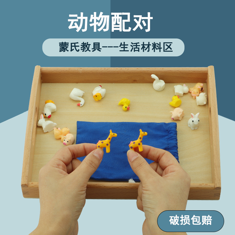 Mont Shape Pair Toy Color Pairing Puzzle Aids Everyday Life Area Materials 2 Year Old Farm Animals
