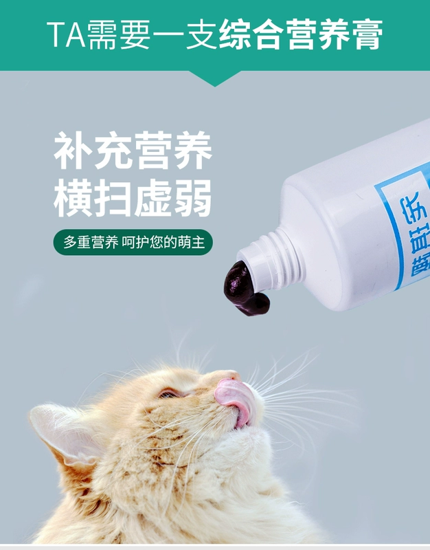 Chow Kitty Pet dinh dưỡng Kem mèo Bổ sung dinh dưỡng toàn diện Điều hòa Cat tiêu hóa Kem dinh dưỡng đặc biệt 120g - Cat / Dog Health bổ sung