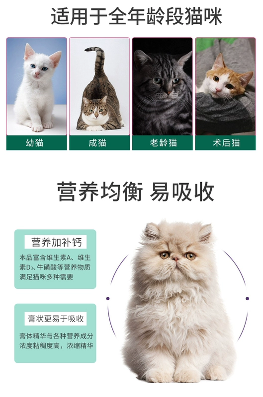 Chow Kitty Pet dinh dưỡng Kem mèo Bổ sung dinh dưỡng toàn diện Điều hòa Cat tiêu hóa Kem dinh dưỡng đặc biệt 120g - Cat / Dog Health bổ sung