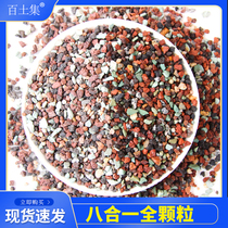 Granular soil succulent special paving stone orchid soil plant general nutritional soil fertilizer volcanic stone medical stone iridescent stone