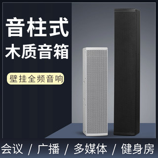 多媒体室会议音箱酒店背景音乐培训学校广播商场壁挂音柱音响