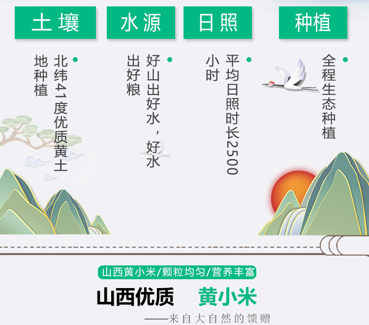 禾远 山西沁州一级黄小米 5斤 图5