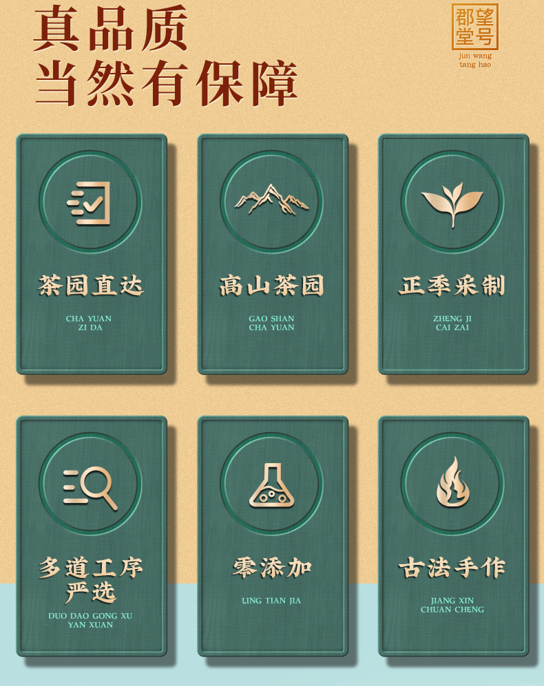 【7.9秒杀！】正宗安溪铁观音125g