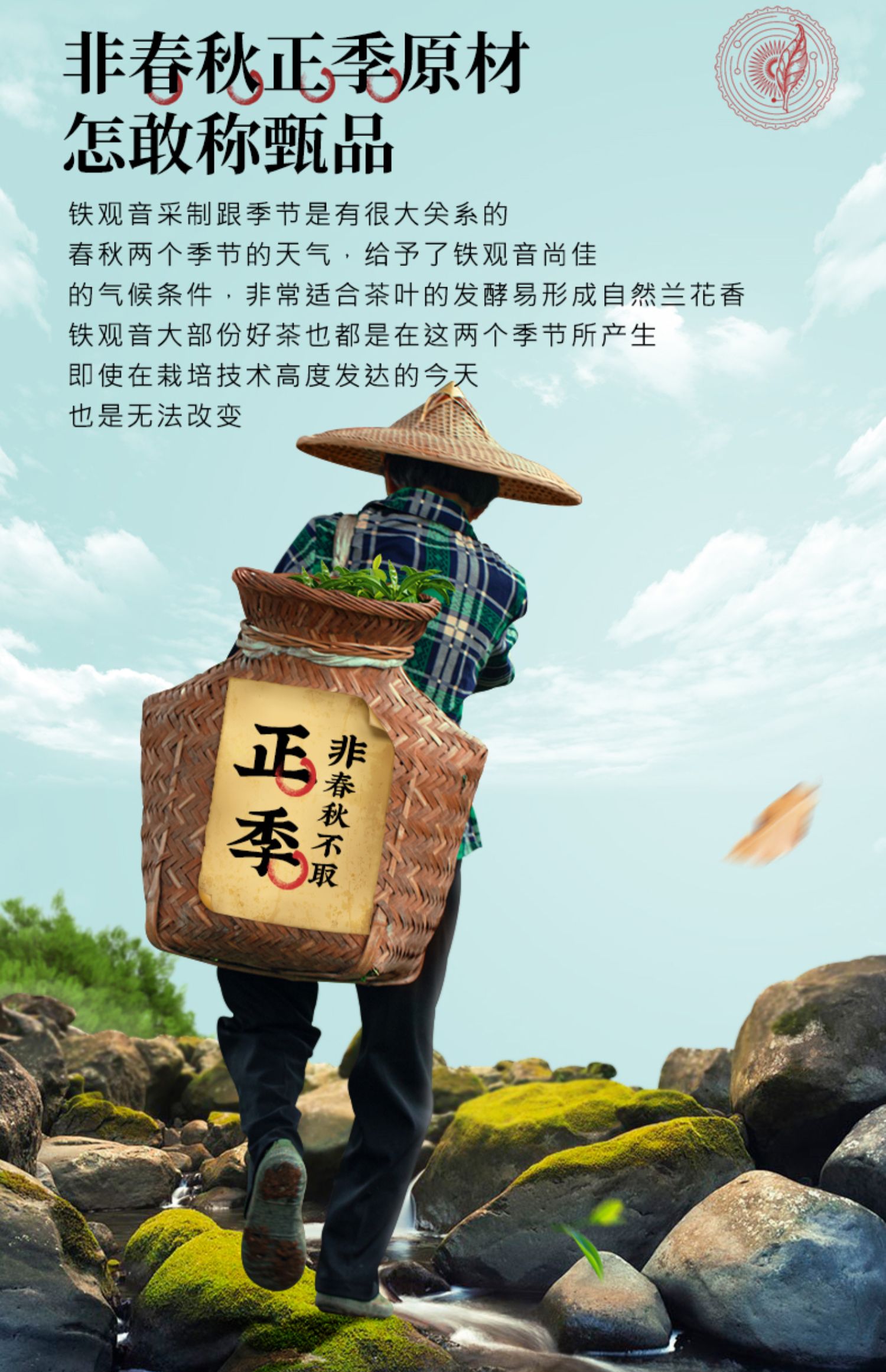 【7.9秒杀！】正宗安溪铁观音125g