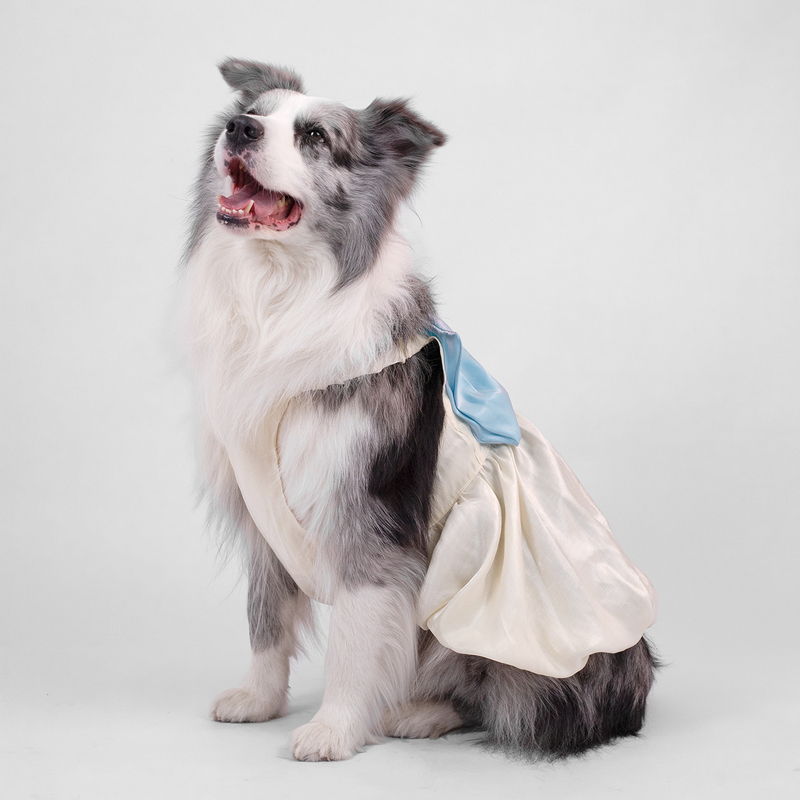 Pawsup Dog Clothes Autumn Princess Dress Bow Wedding Dress for Medium and Large Dogs Border Collie Clothes Pawsup Dog Clothes Autumn Princess Dress Bow Wedding Dress for Medium and Large Dogs Border Collie Clothes