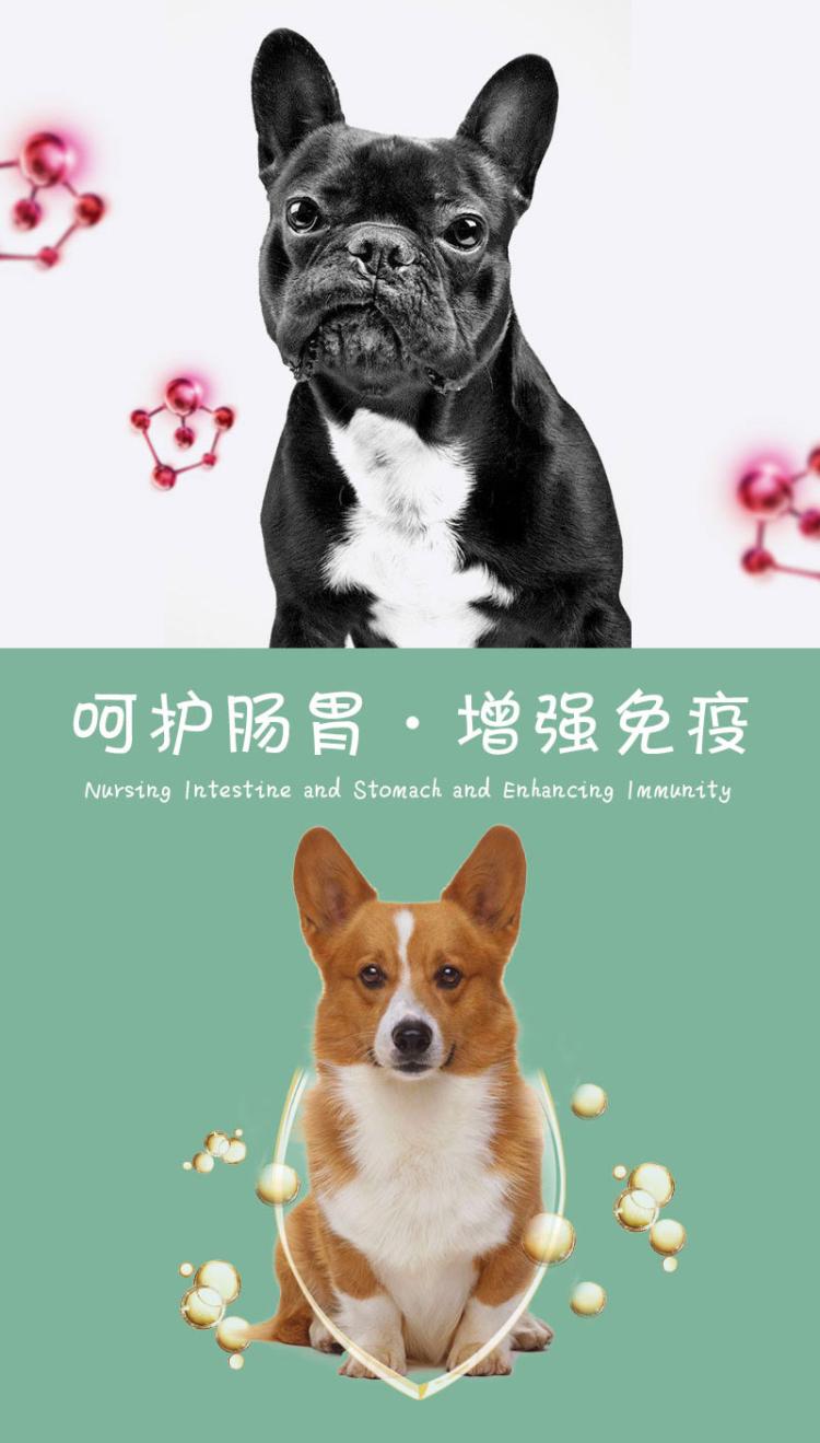 Mori dòng Labrador Golden Retriever hai haha ​​canxi làm đẹp tóc để nước mắt chó con chó nhỏ thức ăn cho chó đặc biệt 2kg - Chó Staples thức ăn thú cưng
