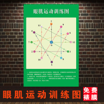 Eye Muscle Sports Training Chart Gain View Far out of view Protect Vision Exercise Lookout Posters Eye Health Care drawings