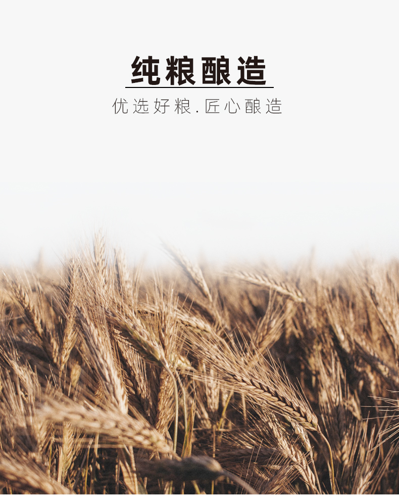 非物质文化遗产 泰裕昌 拾两 52度浓香型 500ml*6瓶 图2