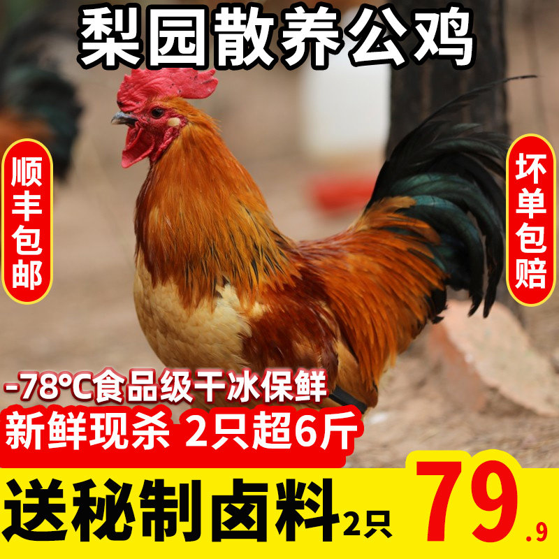2 6 - 7 kg cock farmers scattered a whole fresh frozen cock live to kill yellow feet big cock