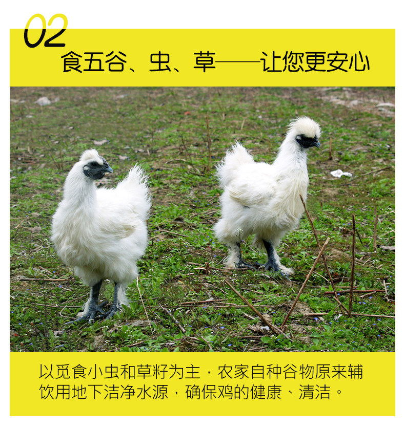 乡缘时空  农家散养现杀乌鸡  2只 共1600g 图4
