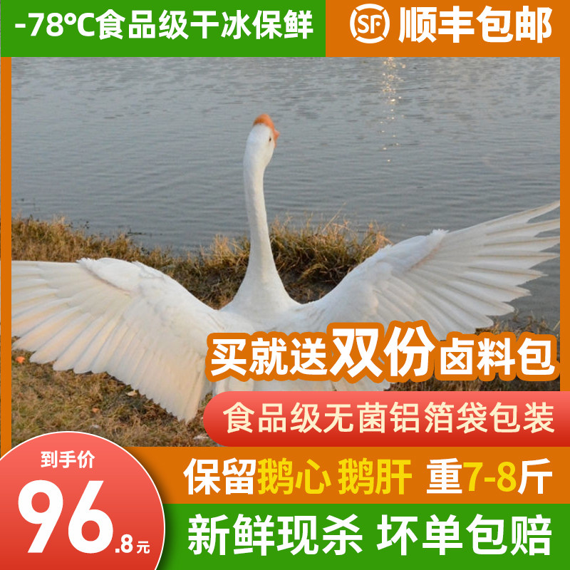 7-8 catties of goose farmhouse scattered with goose white goose raw goose meat fresh and goose that day now kill the frozen whole Shunfeng