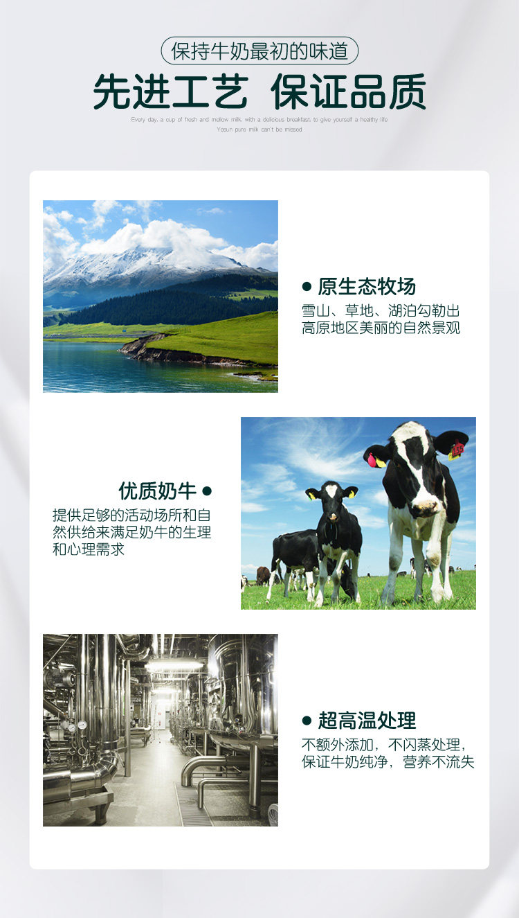 安享好物 安享B级纯奶-悠纯认养牧场纯牛奶 国标 