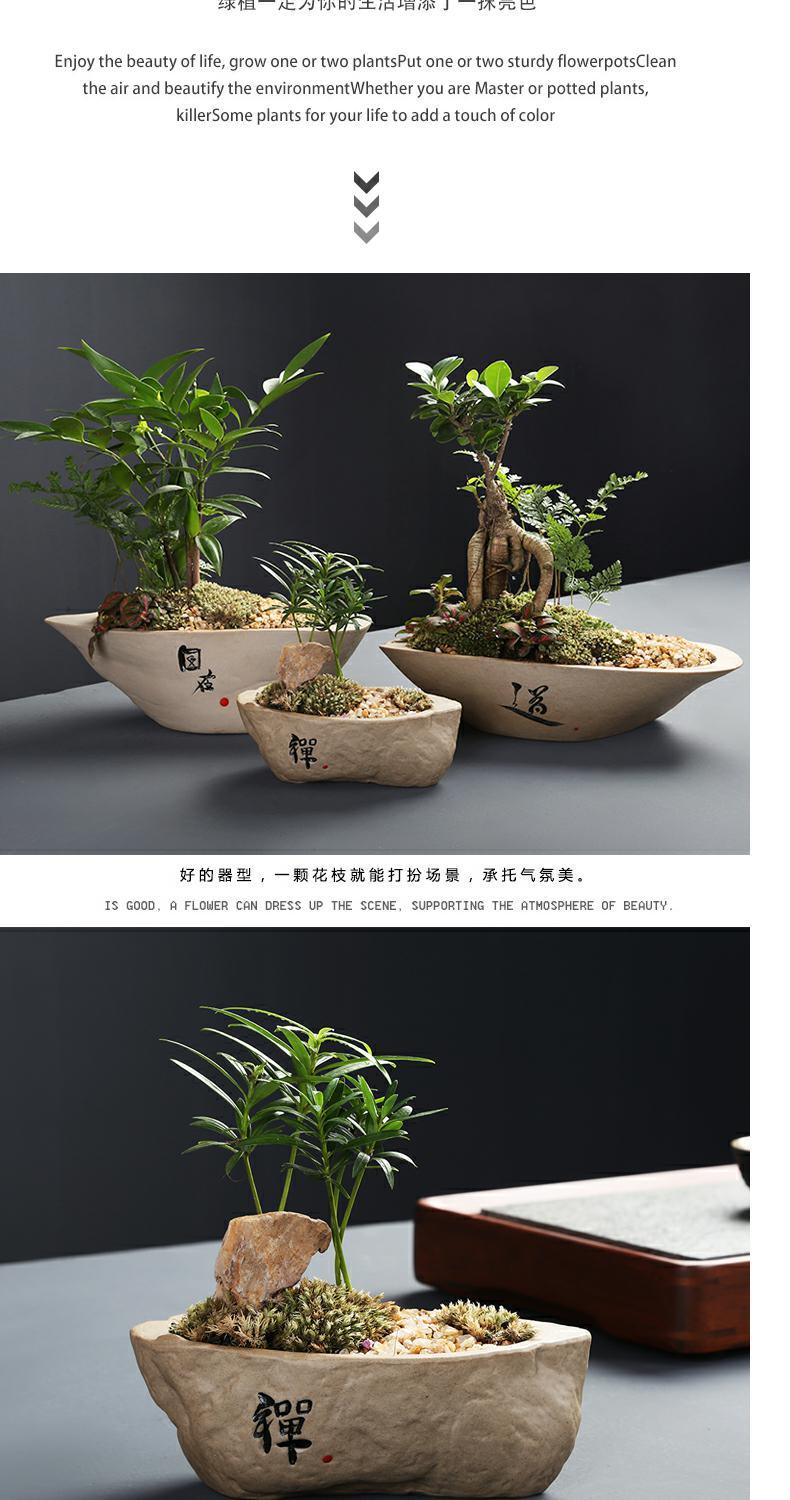 Creative imitation stone flower pot ceramic meaty plant small green plant pot desktop boutique bonsai clearance sale bag in the mail