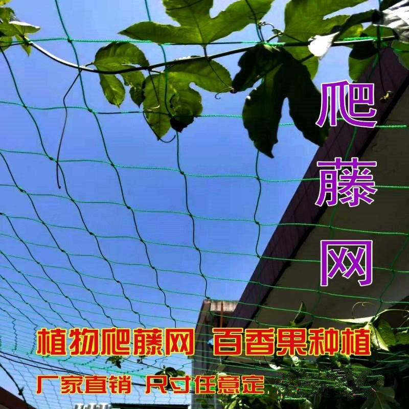 Thyme Scaffold Mesh Nylon Wire Peas Climbing Garden Vegetable Bean Corner Climbing Vine Plastic Home Hitch Melon-Taobao