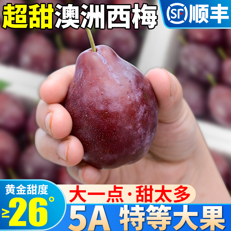 SF big fruit 5 catties imported Australian prune fresh plum fruit sweet pregnant women season spot full box