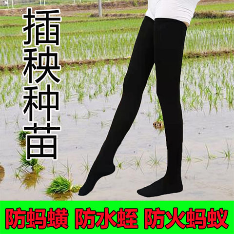 Men's Socks for Planting Rice, Long Socks for Farming, Extra-Long Thigh-High Socks, Anti-Leech Socks, Socks for Planting Rice in Water