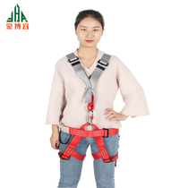 Scenic Spot High Altitude Pleasure Project Safety Belt Five-point Full Body Safety Belt Outdoor Rock Climbing Training Insurance Belt