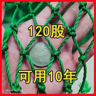 Завод Маракуйя лазание по лазании с сетью дыни 百 виноград Loofah Vinging Melon Bean Corner Network огурец Planting.com