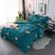 San hô nhung dày chăn flannel sang trọng đơn mảnh ấm flannel quilt mùa đông cộng với nhung sinh viên đơn đôi - Quilt Covers