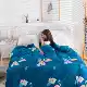 San hô nhung dày chăn flannel sang trọng đơn mảnh ấm flannel quilt mùa đông cộng với nhung sinh viên đơn đôi - Quilt Covers