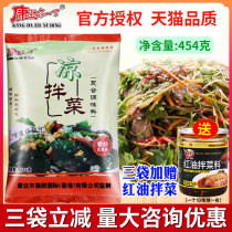 Condar Yiding cold salad seasoning formula Commercial cold skin seasoning Cold dish seasoning Fresh salad powder