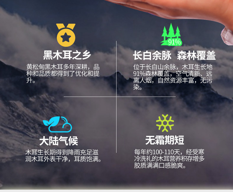 【返8元猫超卡】炒火锅黑木耳150g