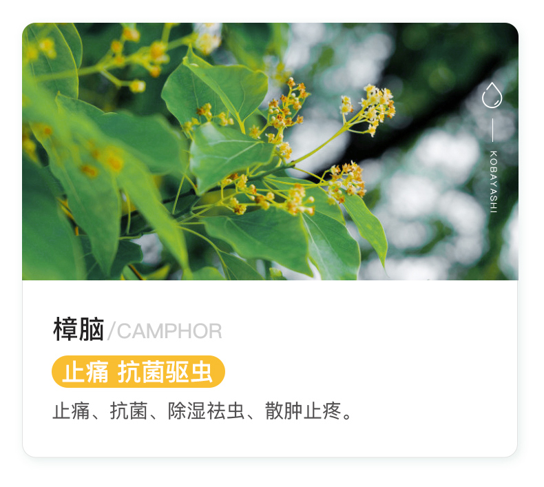 日本进口 小林制药 安美露止痛涂抹液 80ml 图8