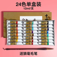 Пигментированный комплект, 24 цветов, 12 мл