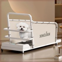 New pet pooch treadmill Big small and medium cat dogs Dogs Cat Kittens Home Ultra Silent Animal Sports Training