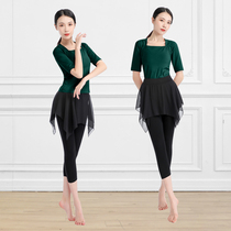 Dance practice suit Body training clothing Womens new slim suit modern Chinese classical Latin dance dance dress