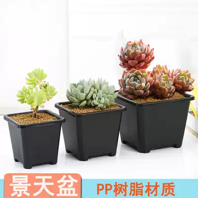 Fleshy flowerpot household green plant small potted flower balcony resin bracket set set water tray Jade old pile Basin