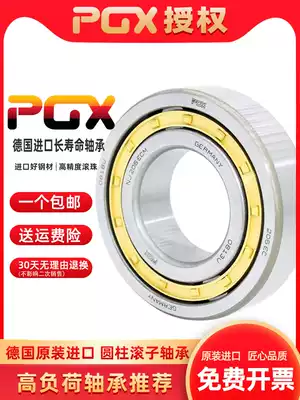Germany PGX cylindrical roller bearing RN203ECM RN204ECM RN205ECM RN206ECM C3