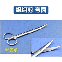 16cm 【弯圆头】