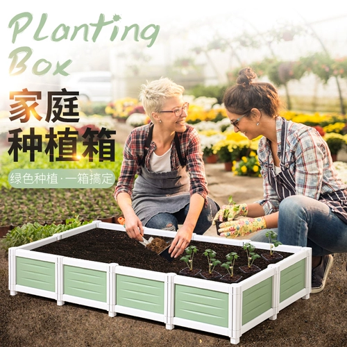 洁维诺 39 Зеленый семейный растение растения контейнер компонент растения растения посадка Посадка Позднее полотенце порошок для порошка