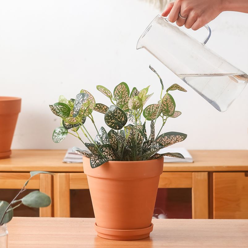 Red clay pot breathable clay POTS much meat the plants flower pot green plant indoor potted garden ceramics basin suit bag in the mail